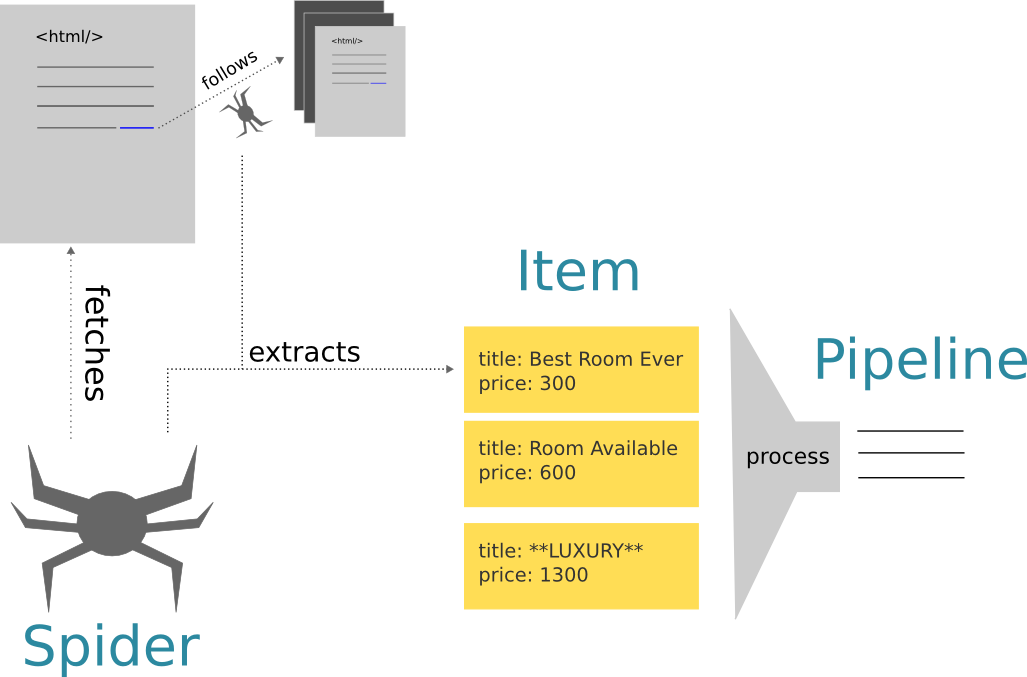 Spider diagram